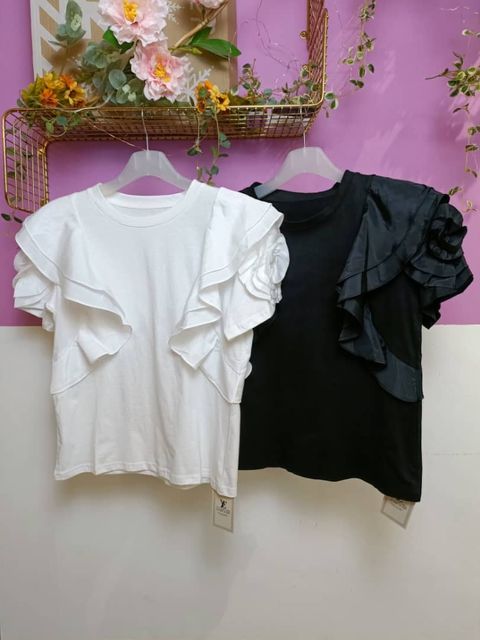 WhatsApp Image 2024-07-09 at 12.30.55