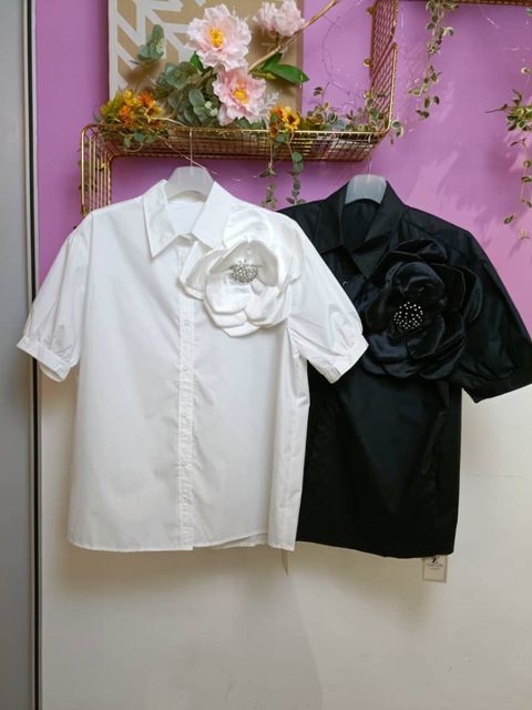 WhatsApp Image 2024-07-09 at 12.35.04