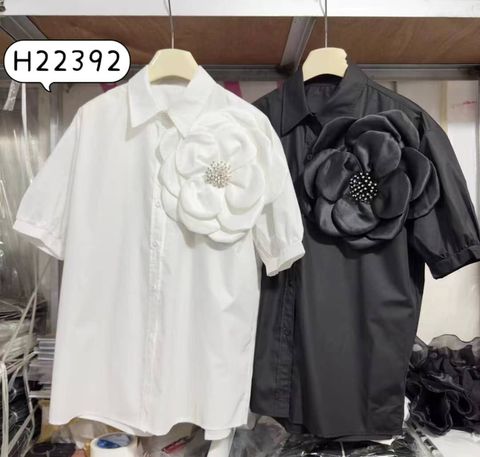 WhatsApp Image 2024-07-18 at 07.34.13