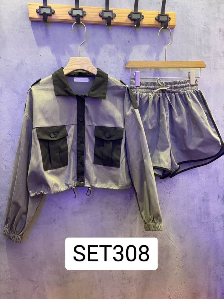 SET308