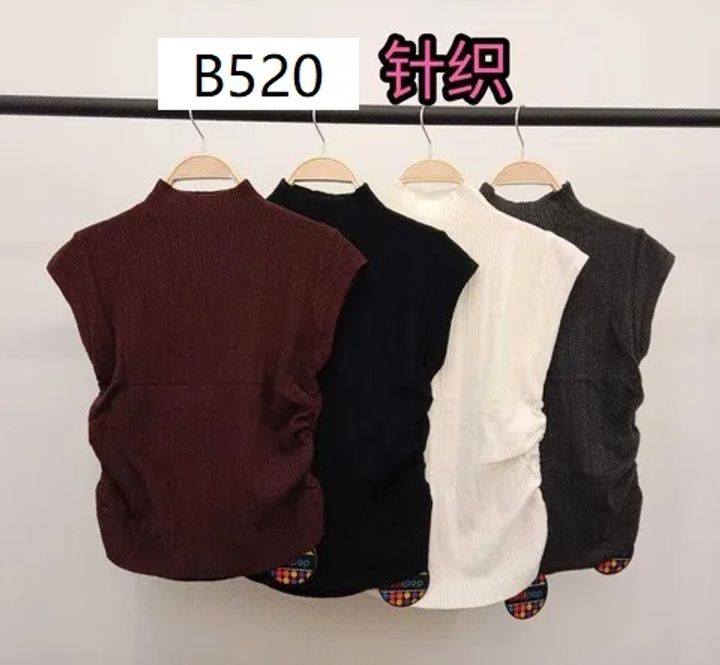 B520