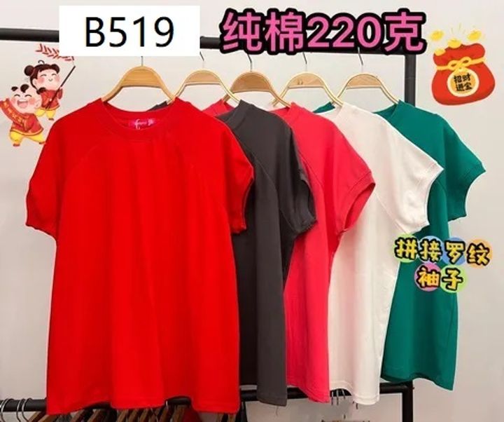 B519