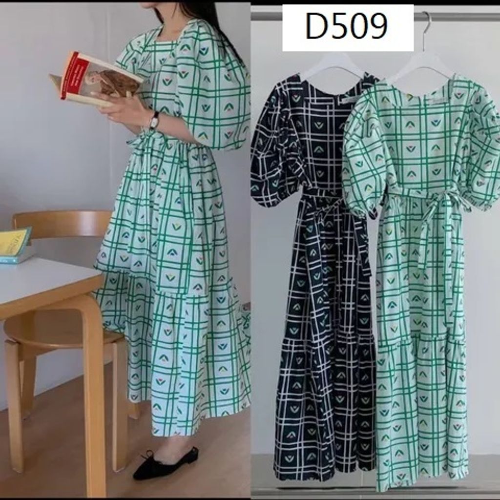 D509