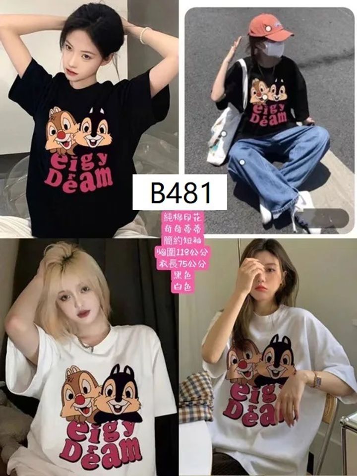 B481