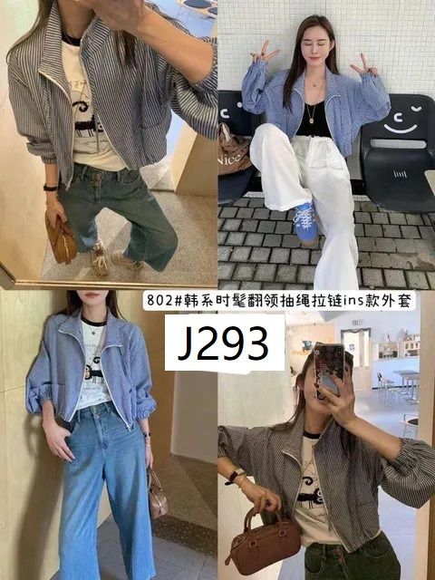 J293