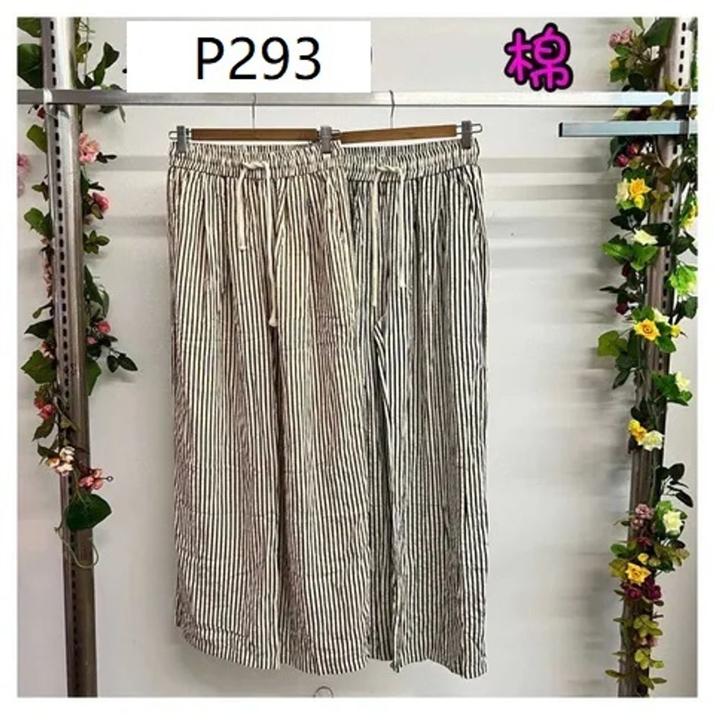 P293
