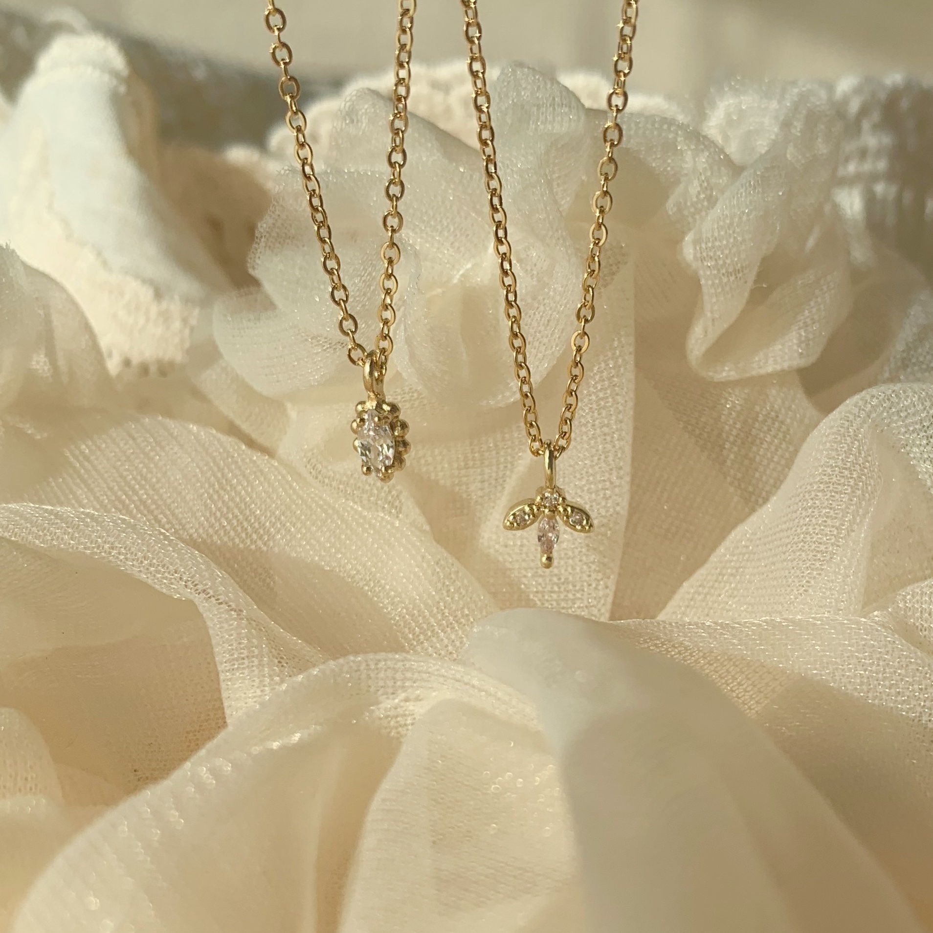 3416AFC7-F655-41BE-A808-BFA22F24B484