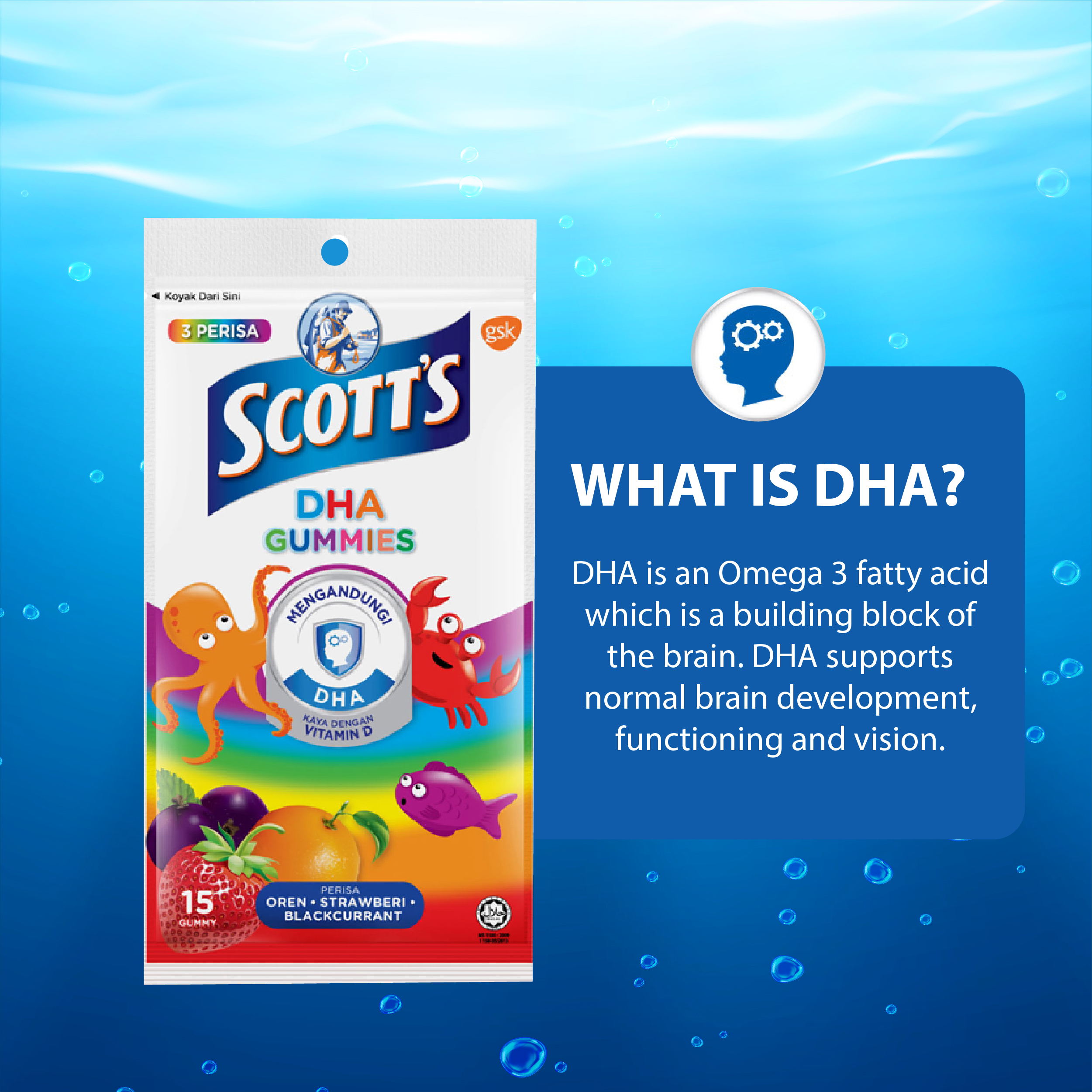 Scotts DHA Gummies - Assorted Flavours - 15's - Wellcome Pharmacy