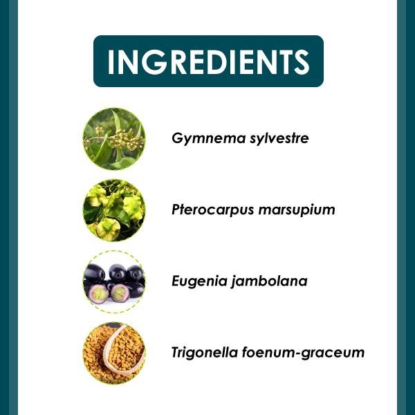 Himalaya Diagard Tablet - Wellcome Pharmacy