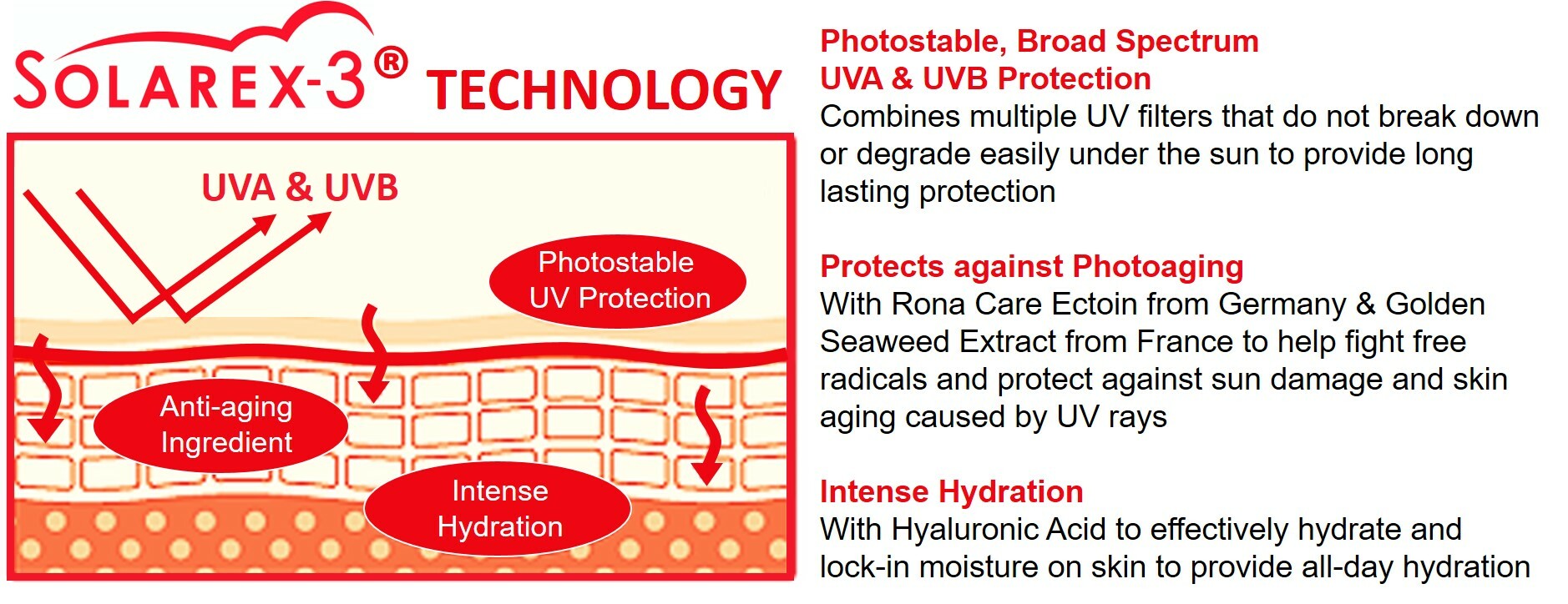 Solarex-3-diagram.jpg