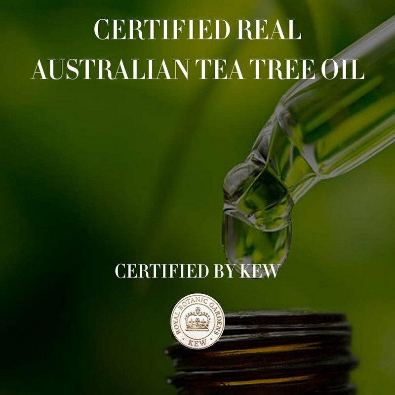 621620-he-bio-renew-tea-tree-shamp-4-800Wx800H.jfif