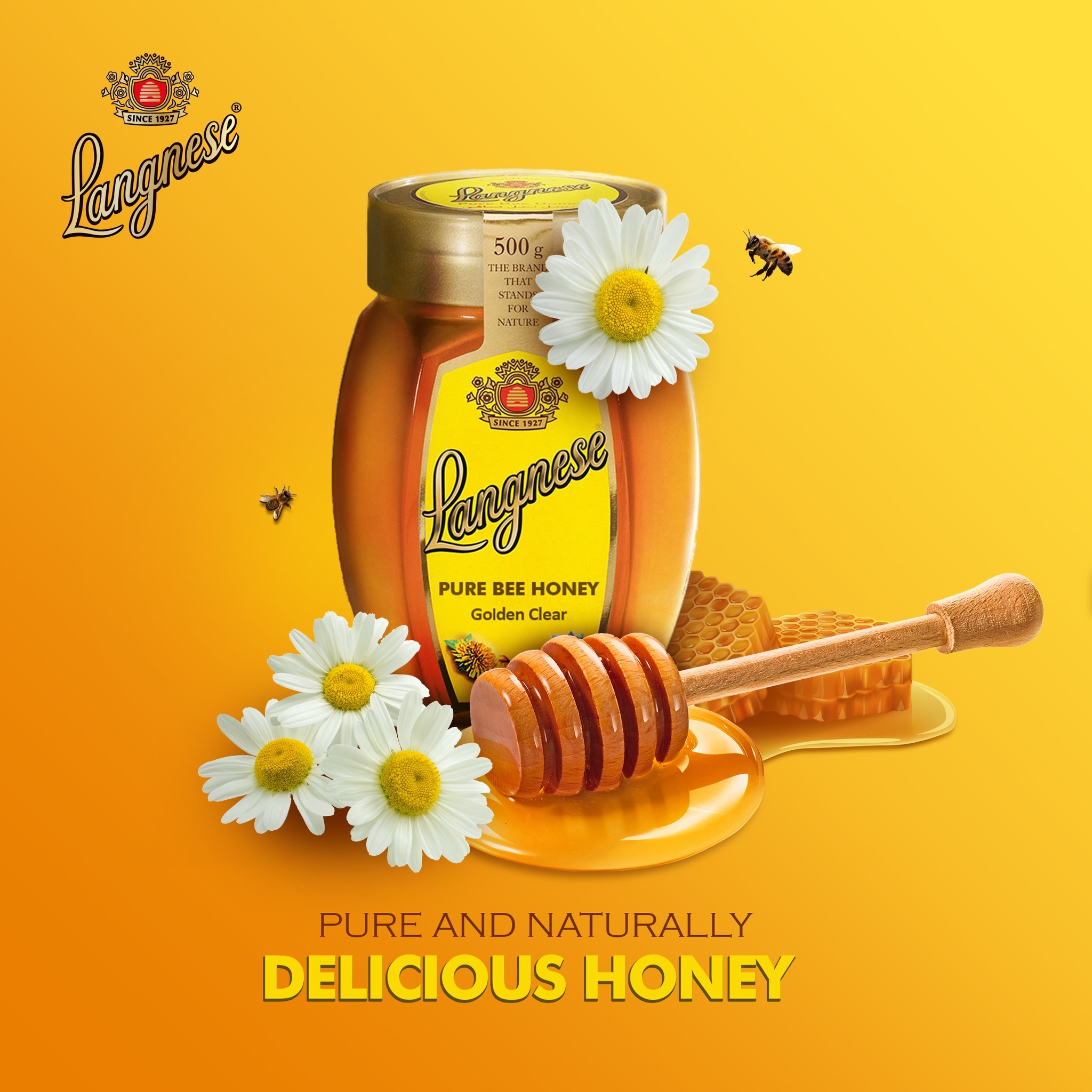 280594837_4865706226874070_2159697529601582953_n