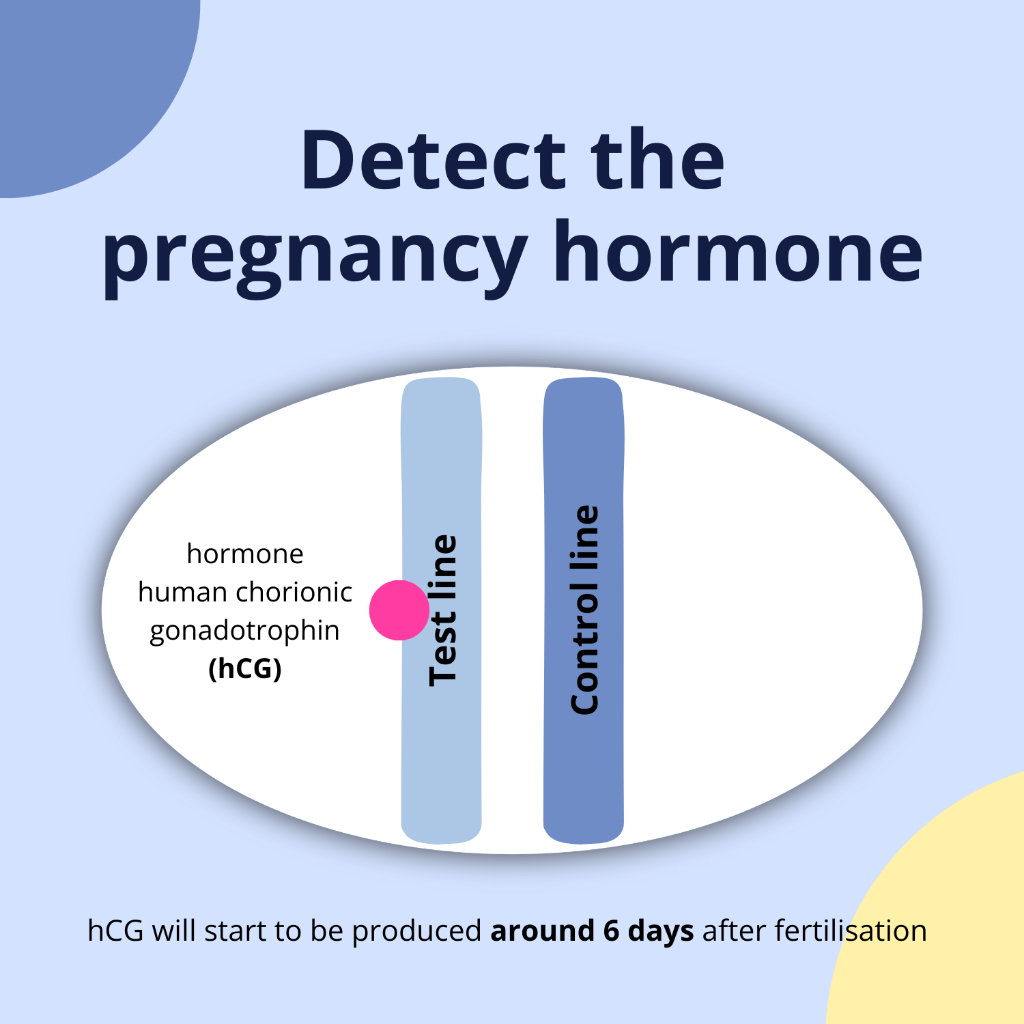 my-11134207-7r98w-lmzrfno96pq614