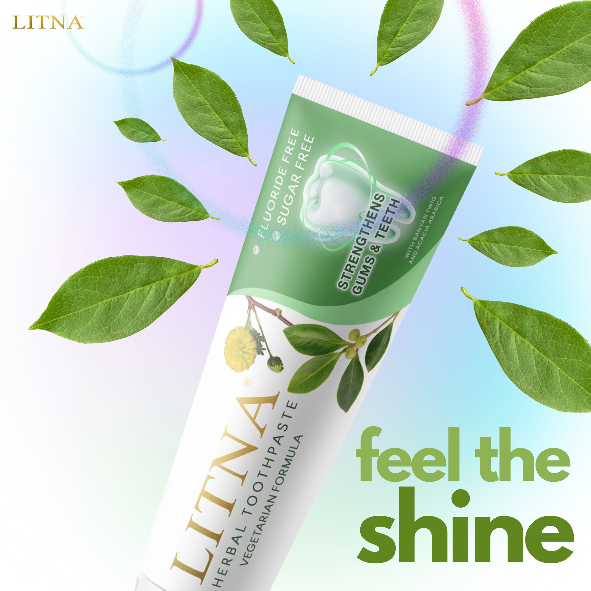 347004701_1322247224992101_2013625356577480599_n