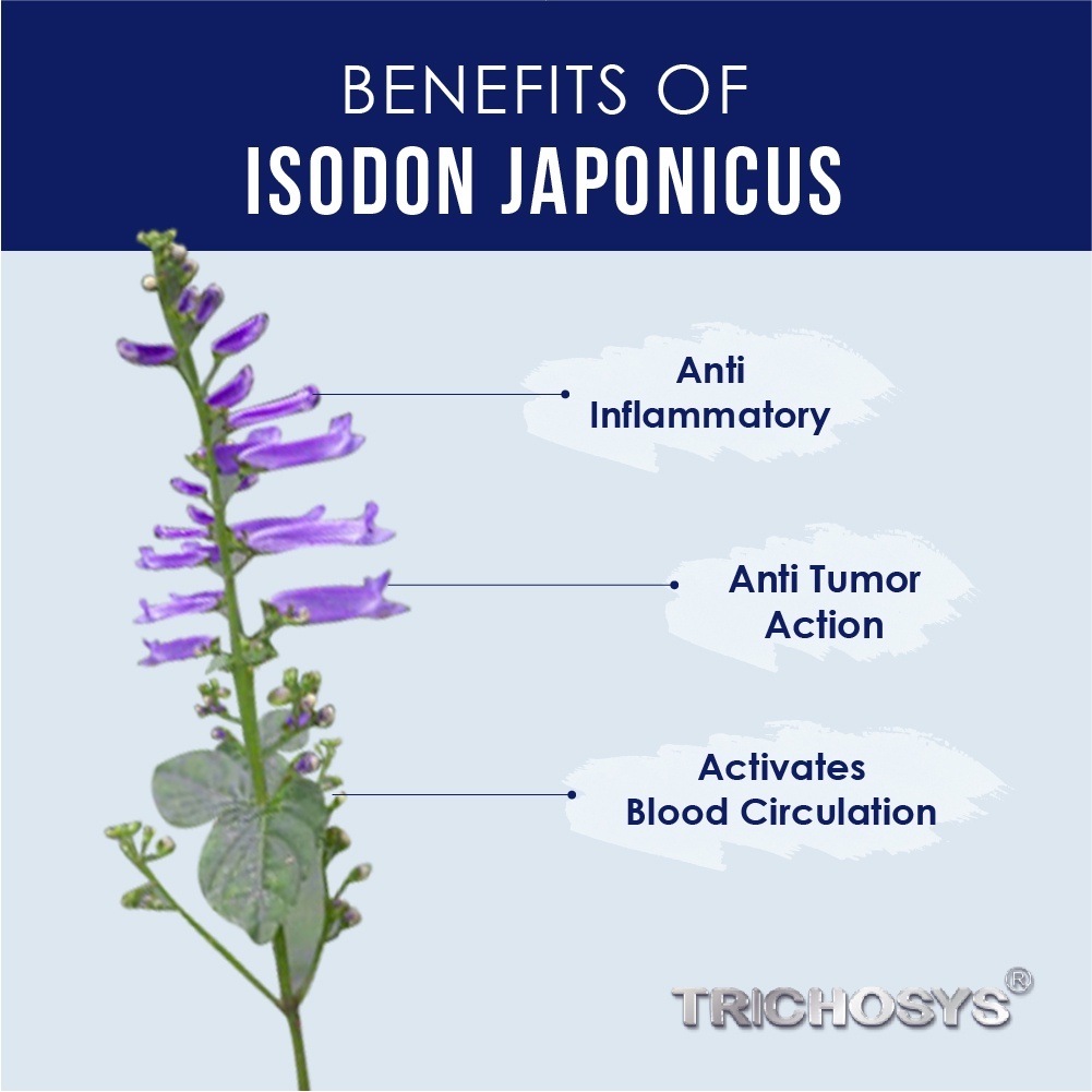 sg-11134201-22110-g38mikcr8mjv15