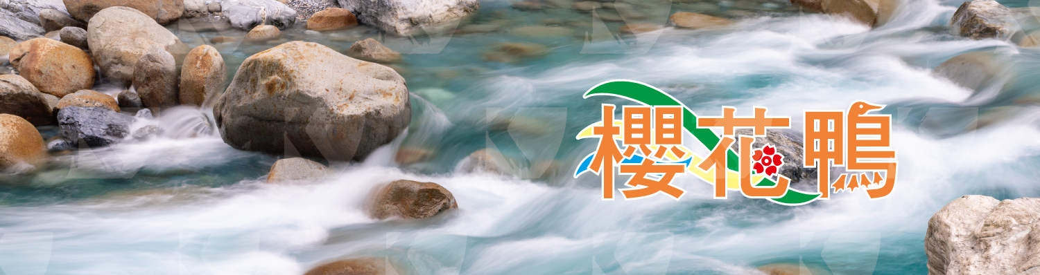 選購 櫻花鴨 商品