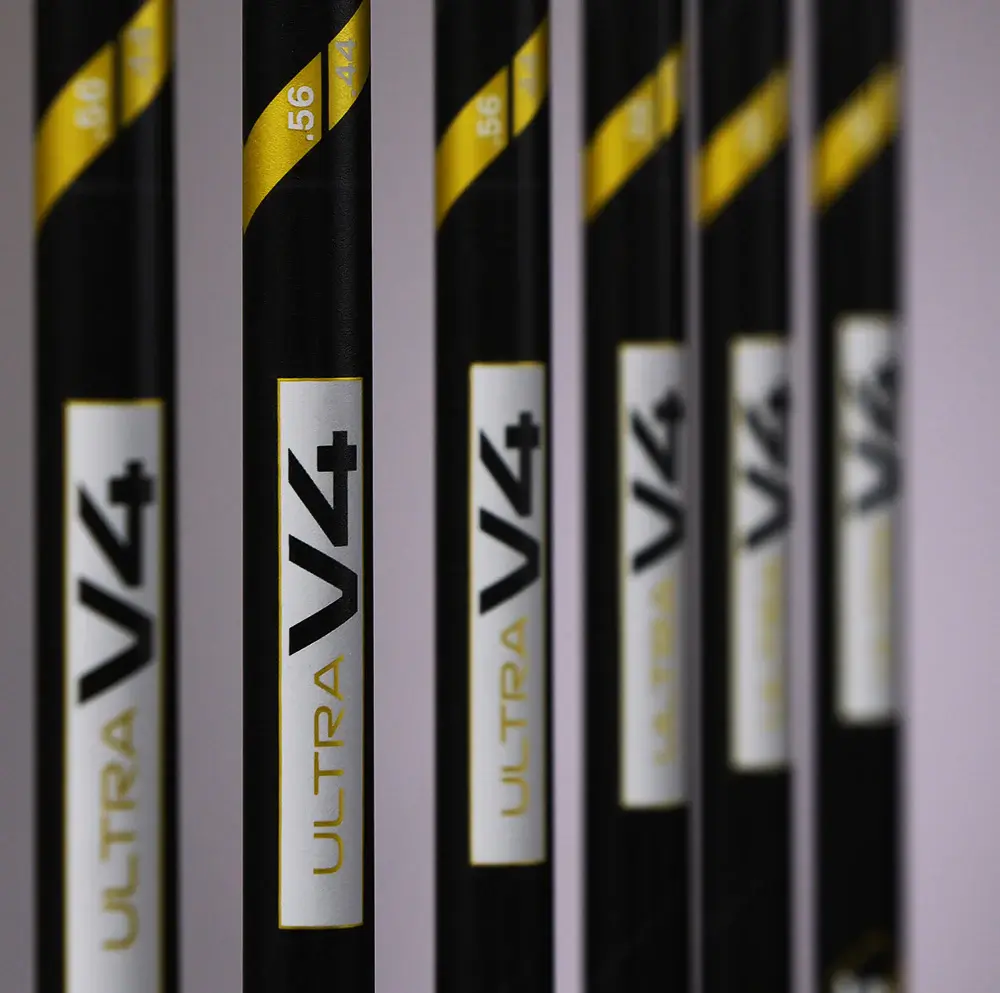 UltraForestPic2_1000px