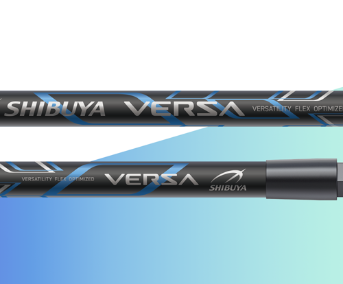 VERSA_graphic_2305162