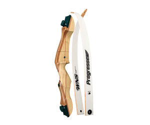 wns-wns-progresser-riser