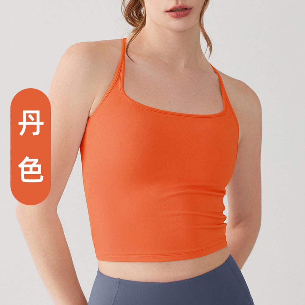 SKU-12-丹色   新色