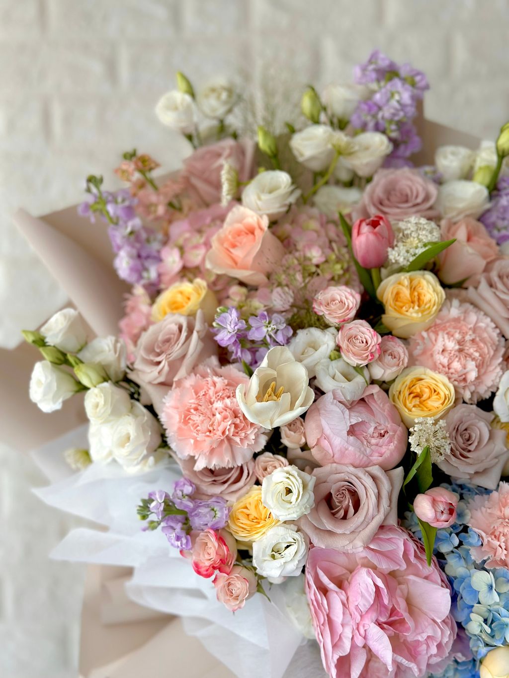 图片_20230617205057