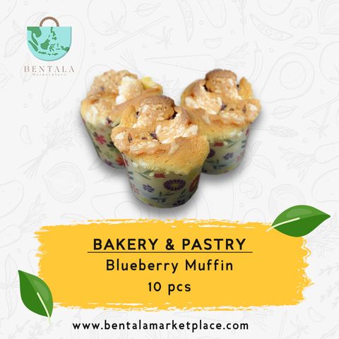 Blueberry Muffin.jpg