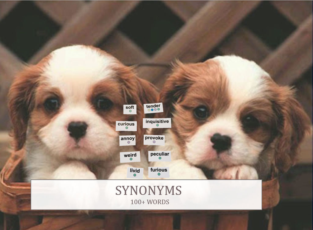 Add-On* Word Kit: Synonyms (100 Words) – PivotPlay