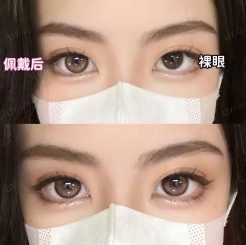 dolly vs urban arrow