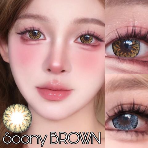 IMG_7334-1710250306414