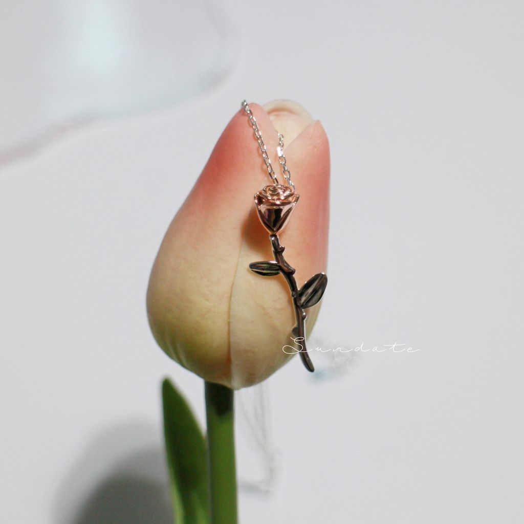 NK008 (5).JPG