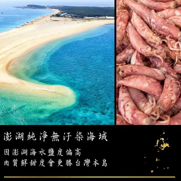老張鮮物-澎湖海鮮小管醬-280g1罐-嚴選砥家-750x750-4