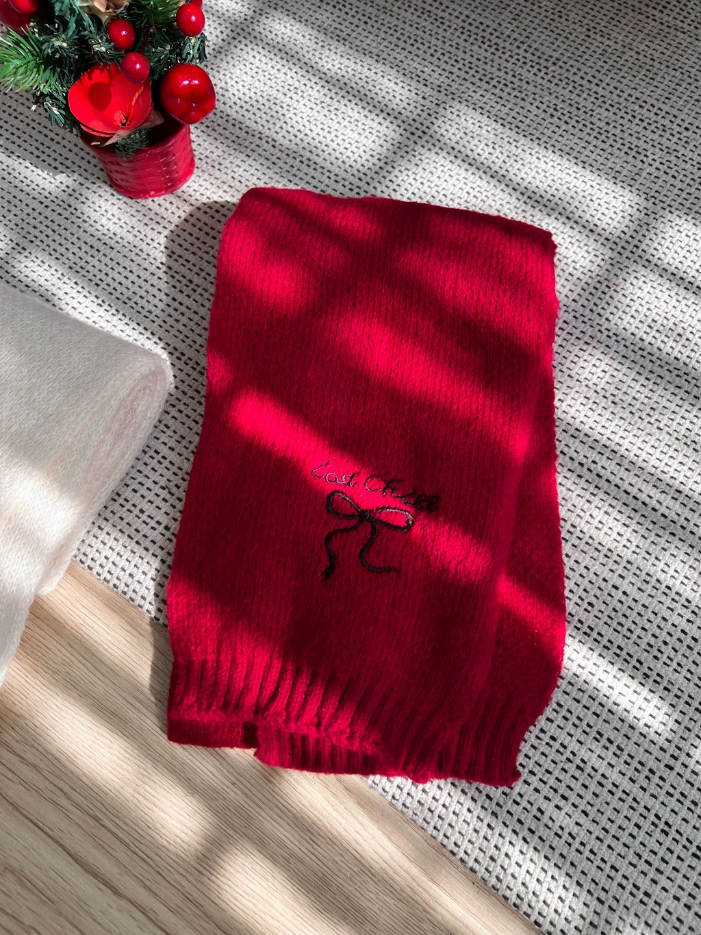 image_0065C547-B899-4D69-B188-02F9714D7DE1_1764837605