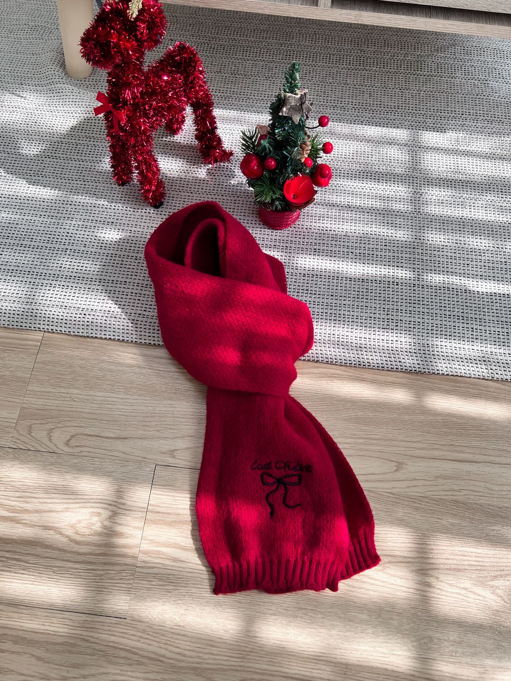 image_5F4A59EC-AB2E-4D8C-ABC1-36329CD10B1C_1764837605