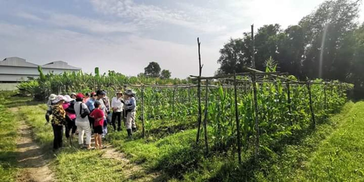 鸟家农场对外开放时间为提前预约方式进行，时间是每个星期六，早上9至11时。现场会为大家讲解活力农耕概念，农作物种植，堆肥制作过程及银蜂养殖。如果想进行农耕体验活动，可以另行安排。