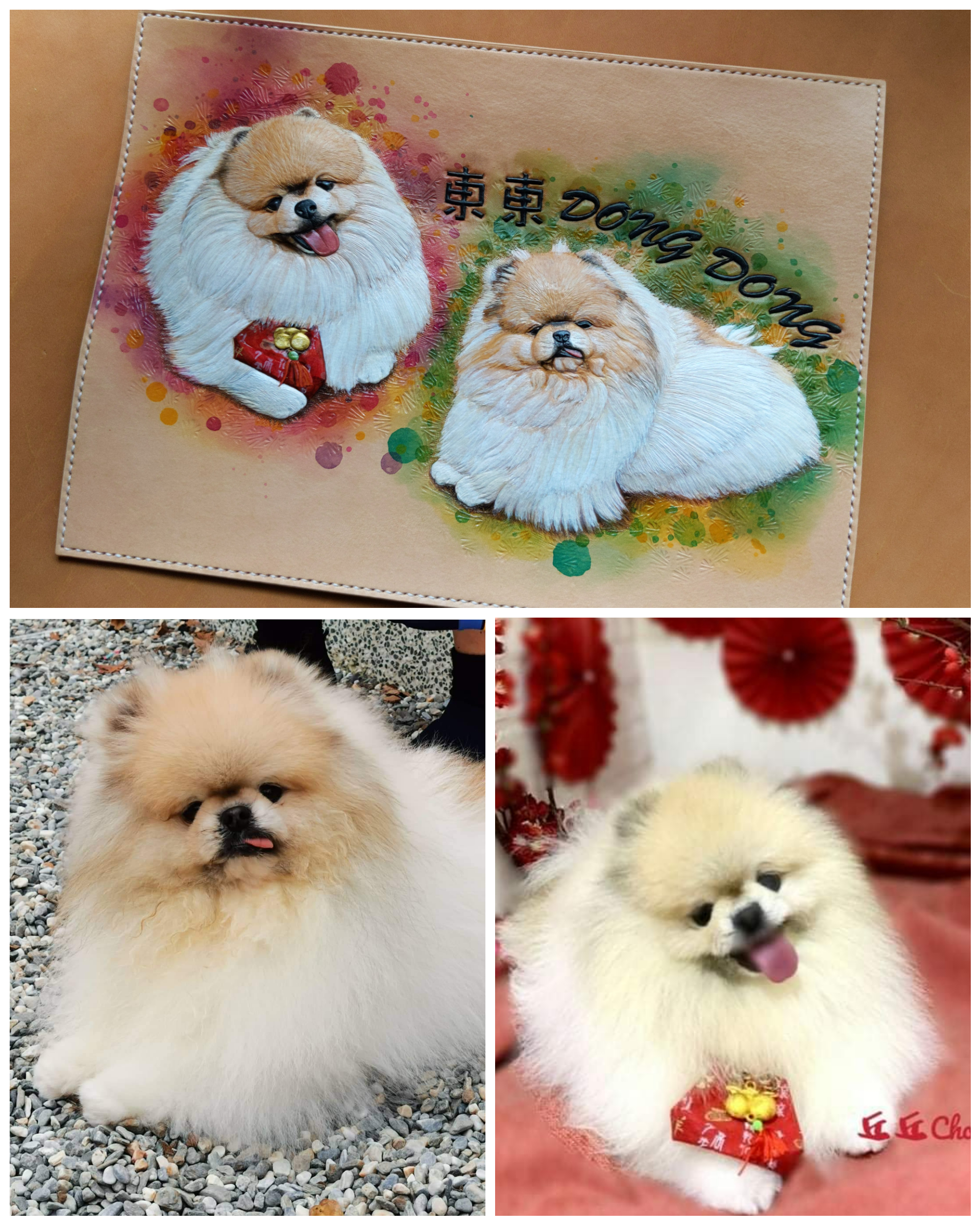 PhotoCollage_20220429_172510106.jpg