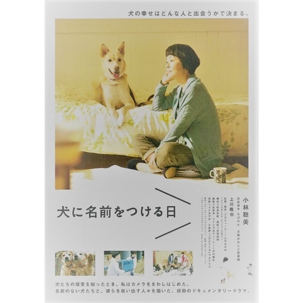Bluray Movie Dogs Without Names Japanese Drama Malaysia Bluray Bluray Movie Dogs Without Names Japanese Drama Malaysia Bluray