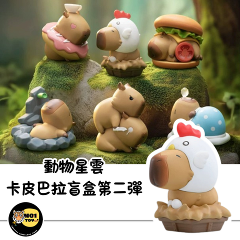 官網圖