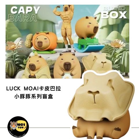 LUCK MOAI卡皮巴拉 小豚豚系列盲盒