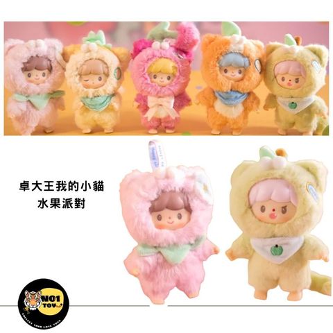 卓大王我的小貓 水果派對