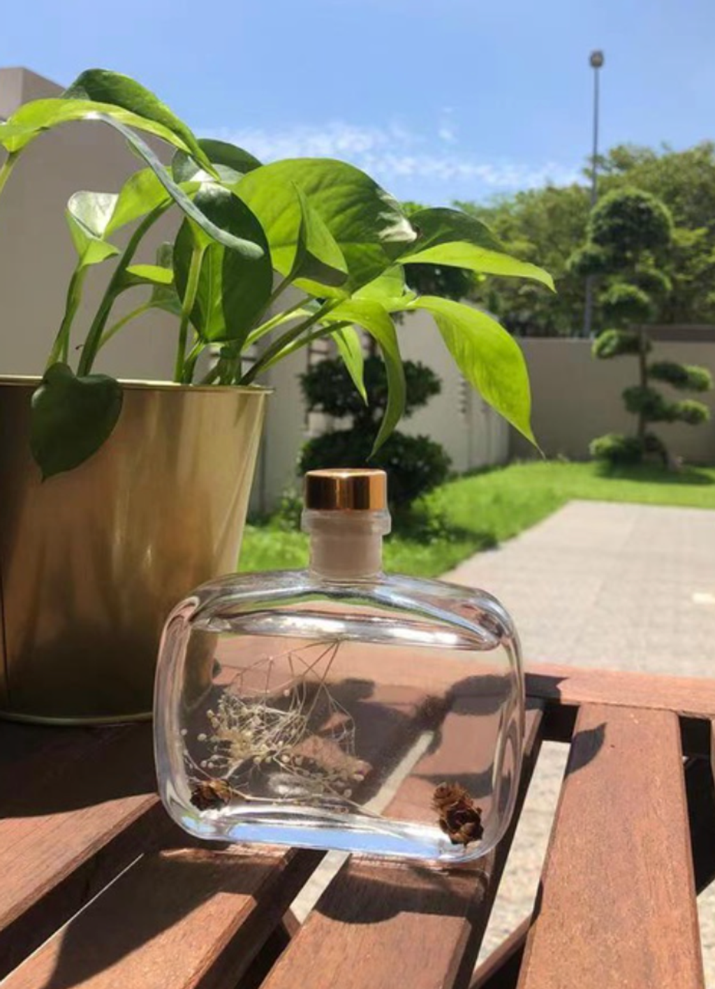 Screen Shot 2021-11-23 at 3.51.40 PM.png