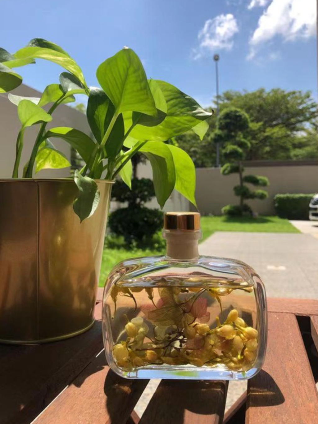 Screen Shot 2021-11-23 at 3.52.55 PM.png