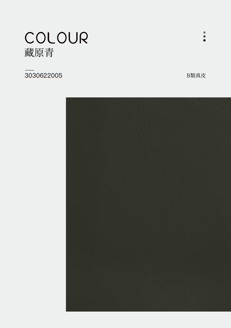 P107-皮B-藏原青