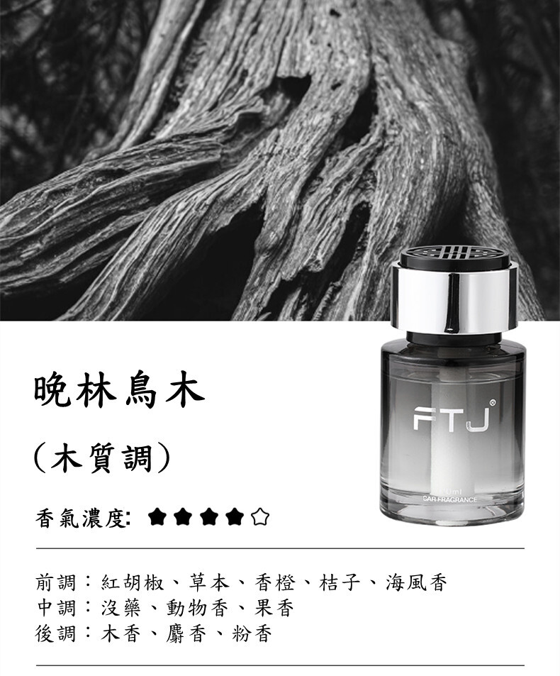 冰島車載 (15-1)_副本