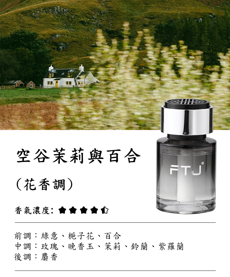 冰島車載 (9)_副本