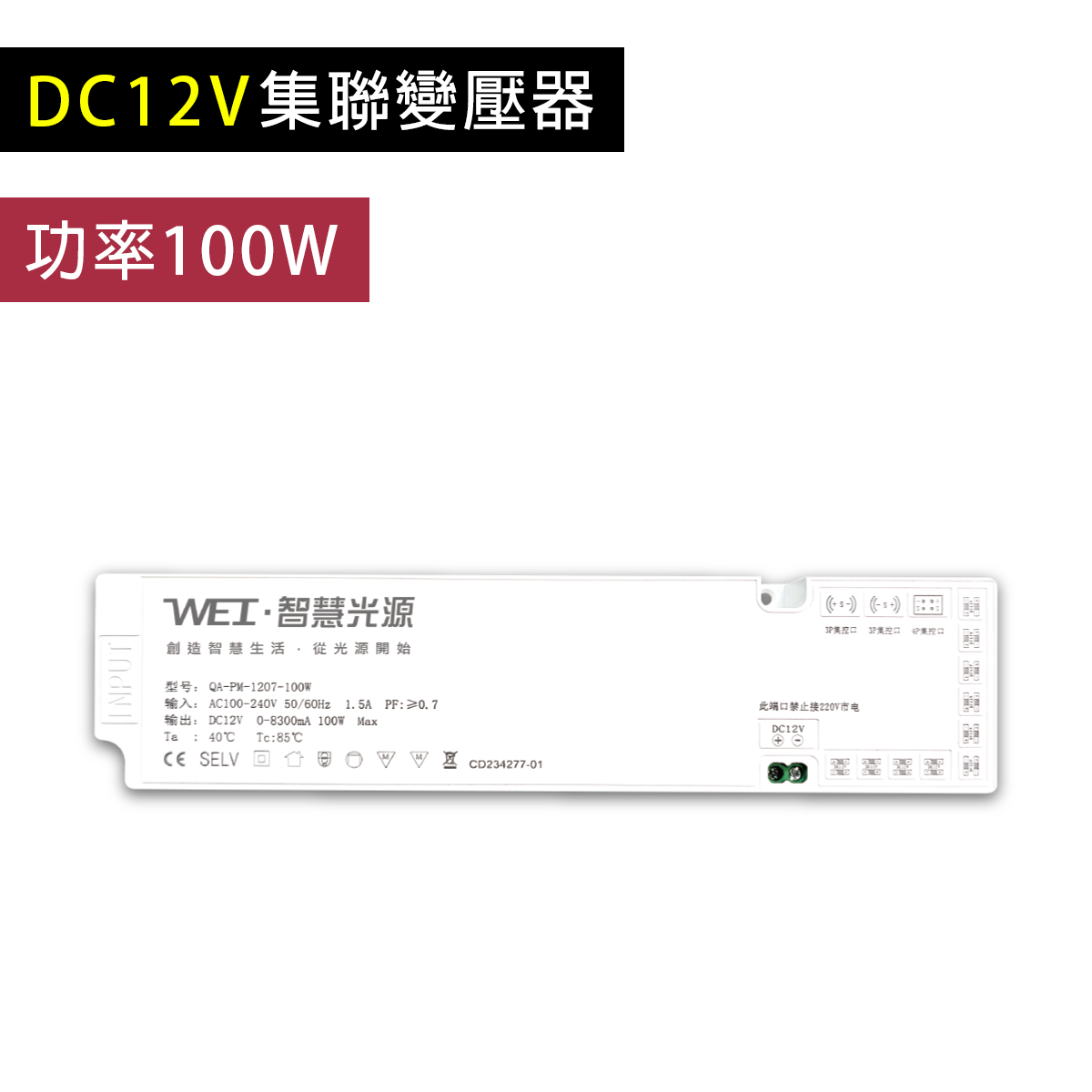 12V集聯變壓器 - 100W