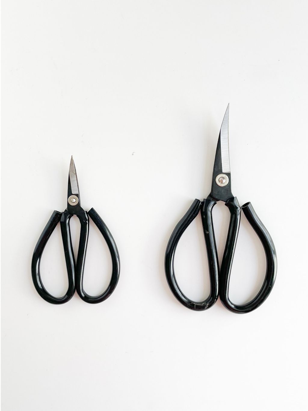 Curved-blade-scissors-01