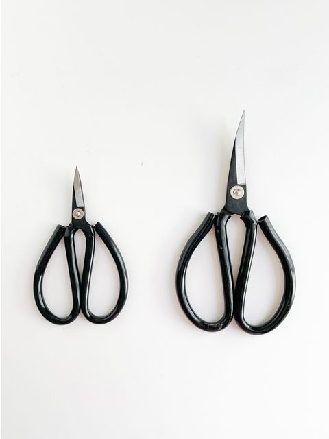 Curved-blade-scissors-01