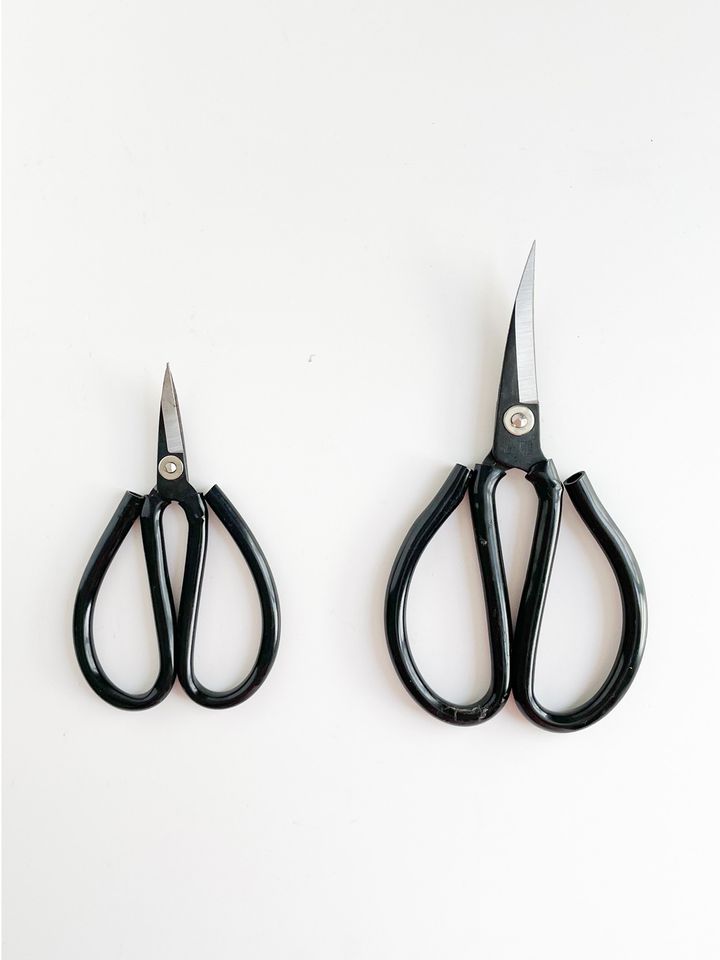 Curved-blade-scissors-01