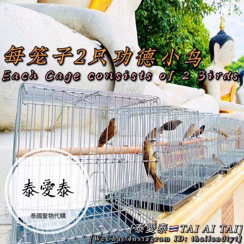 A9ACEE20-A410-42C8-8FD8-72DE0A0B61C6.jpeg