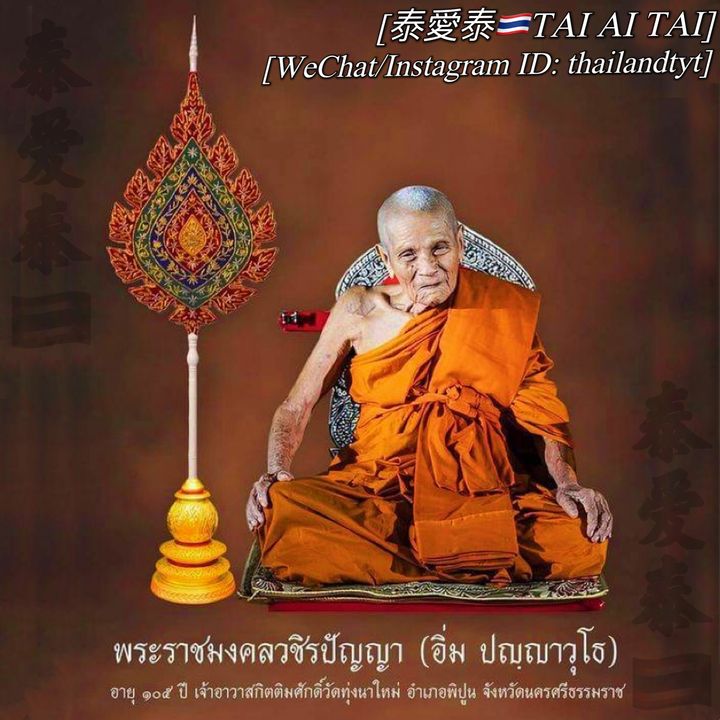 57136894